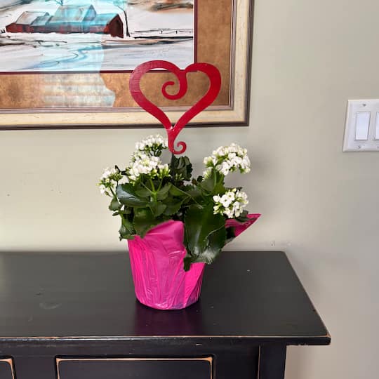 15.5" Red & Black Open Heart Shaped Garden Stake